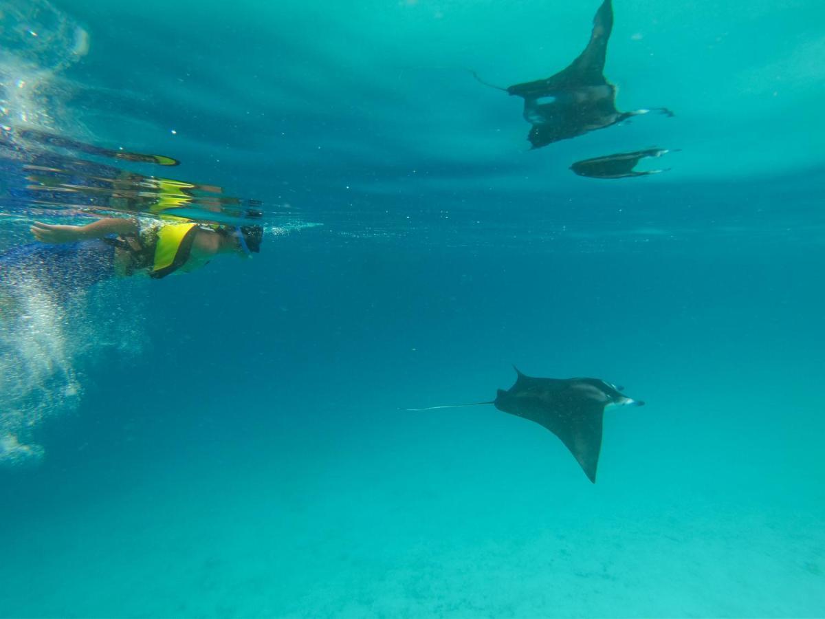 Coral Queen Villa, Ukulhas Eksteriør bilde